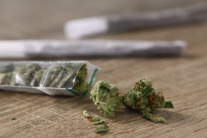 Woerden: Cannabis populair bij jeugdige gebruikers
