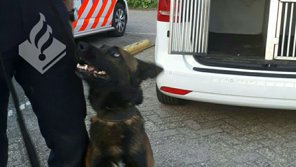 Politiehond vindt gestolen buit