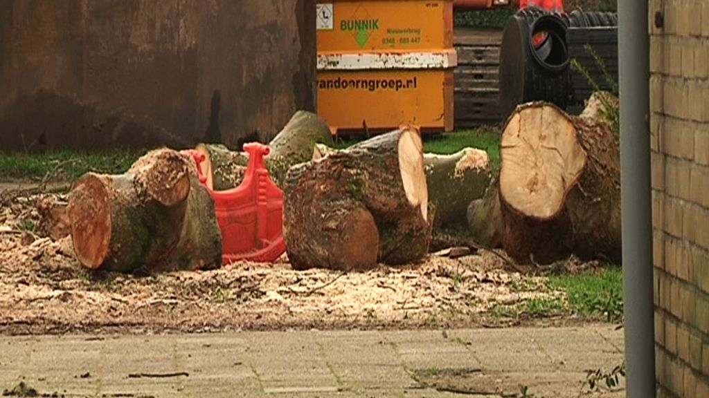 Protest tegen bomenkap Molenwijk Harmelen succesvol