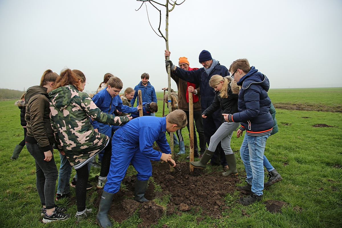 Leerlingen planten bomen in Oudewater